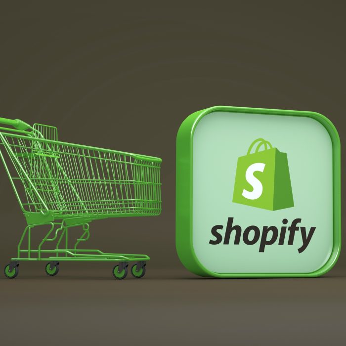 Seo shopify